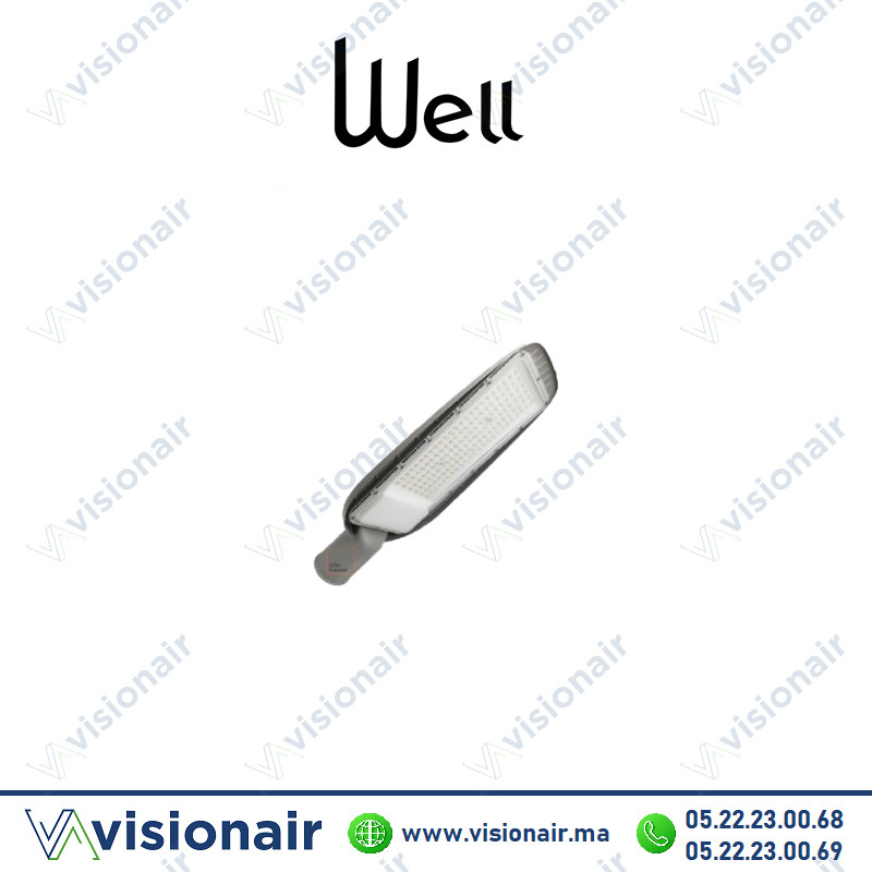 [WELLSNRL-100] Luminaire LED WELL 100W 6500°K éclairage publique