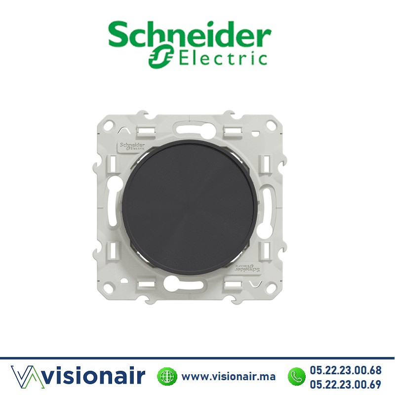 [S540666] Obturateur Schneider Odace anthracite S540666
