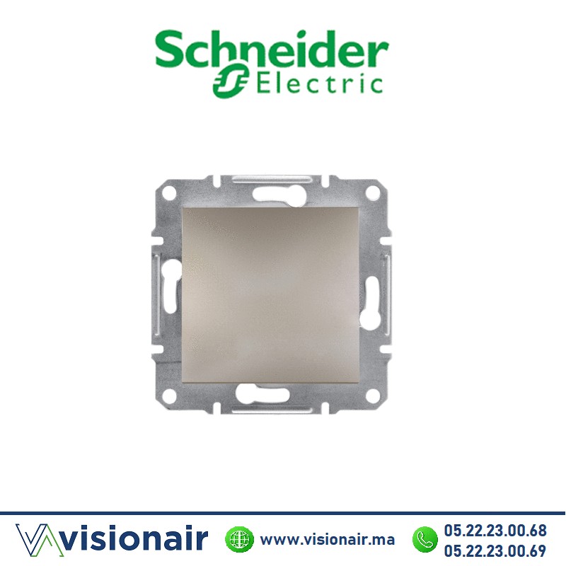 [EPH5600169] Obturateur Schneider Asfora bronze EPH5600169