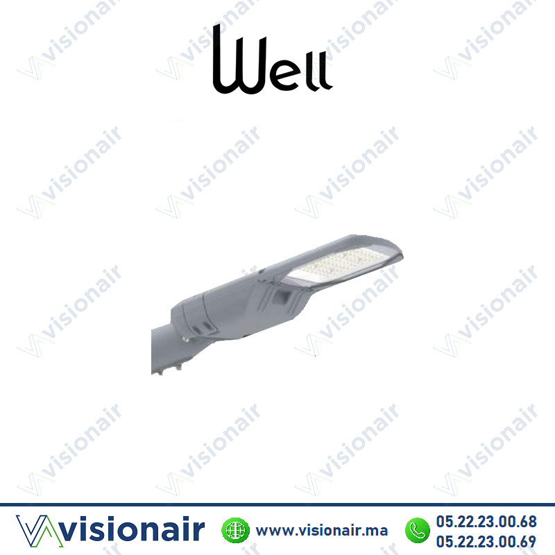 [WELL-PLUTO100W] Luminaire LED Well Pluto 100W 4000°K éclairage publique