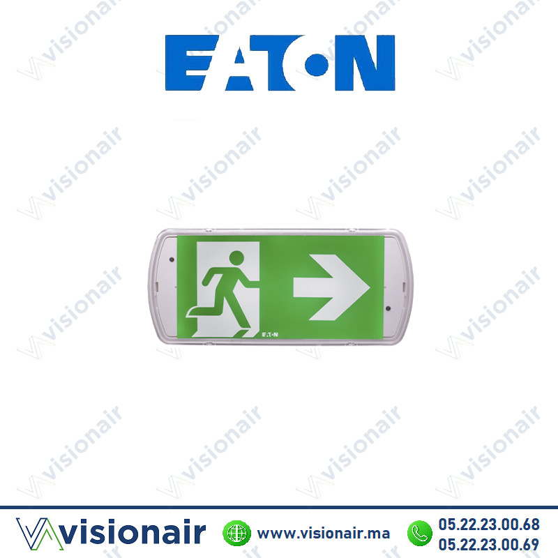 [LUM16179] BAES Bloc de secours EATON 45 LM 1H IP42 LUM16179